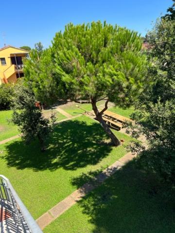Complesso Oasi Apartamento Tirrenia Exterior foto